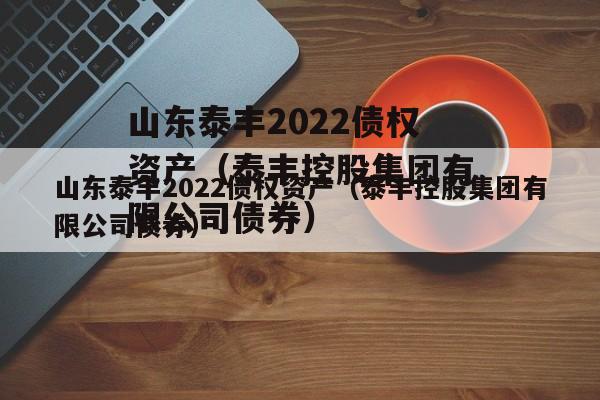 山东泰丰2022债权资产（泰丰控股集团有限公司债券）