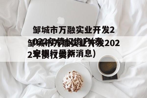 邹城市万融实业开发2022年债权资产(泰安银行最新消息)