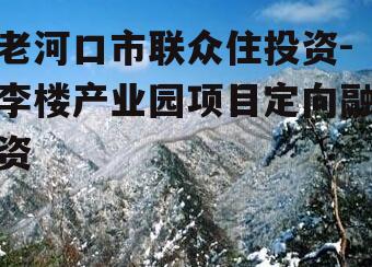 老河口市联众住投资-李楼产业园项目定向融资