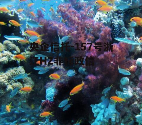 央企信托-157号浙江HZ非标政信