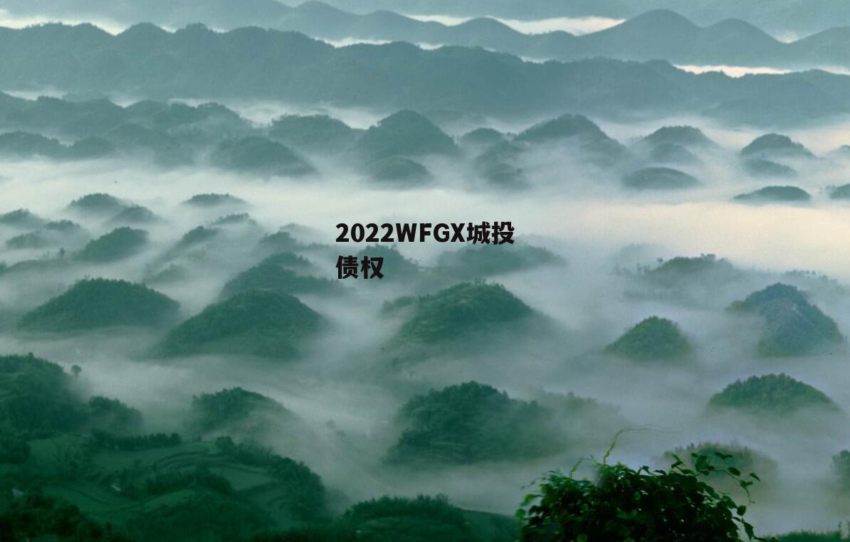 2022WFGX城投债权