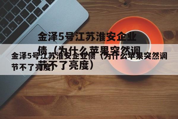 金泽5号江苏淮安企业债（为什么苹果突然调节不了亮度）