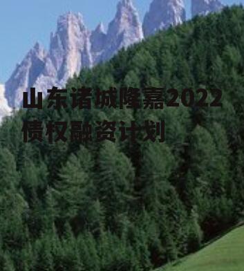 山东诸城隆嘉2022债权融资计划