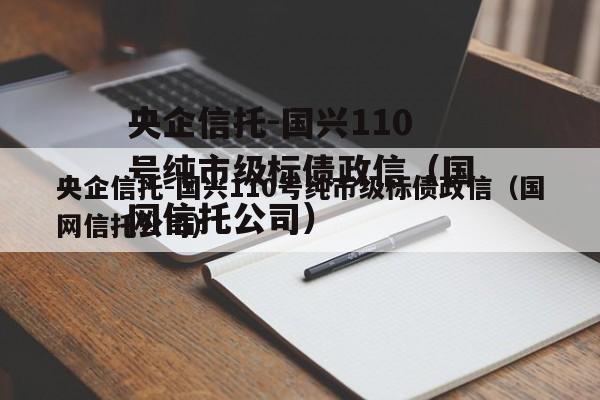 央企信托-国兴110号纯市级标债政信（国网信托公司）