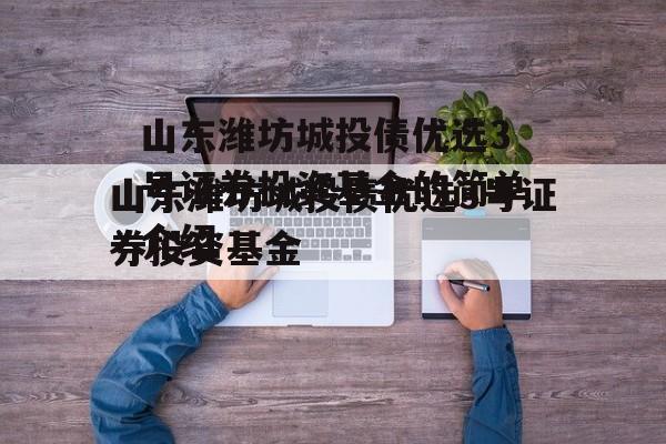 山东潍坊城投债优选3号证券投资基金的简单介绍