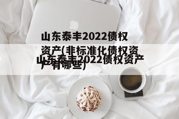 山东泰丰2022债权资产(非标准化债权资产有哪些)