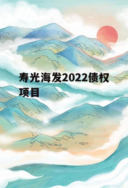 寿光海发2022债权项目