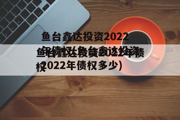 鱼台鑫达投资2022年债权(鱼台鑫达投资2022年债权多少)