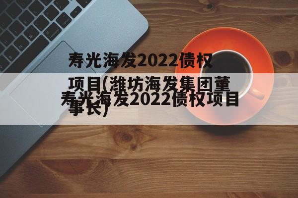 寿光海发2022债权项目(潍坊海发集团董事长)