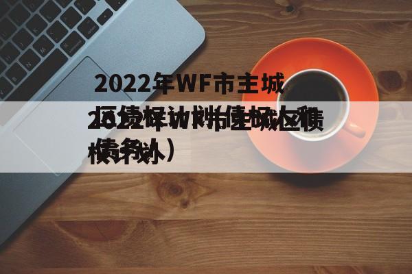 2022年WF市主城区债权计划(债权人和债务人)