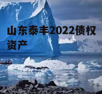 山东泰丰2022债权资产