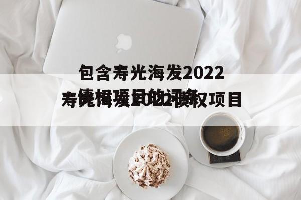 包含寿光海发2022债权项目的词条