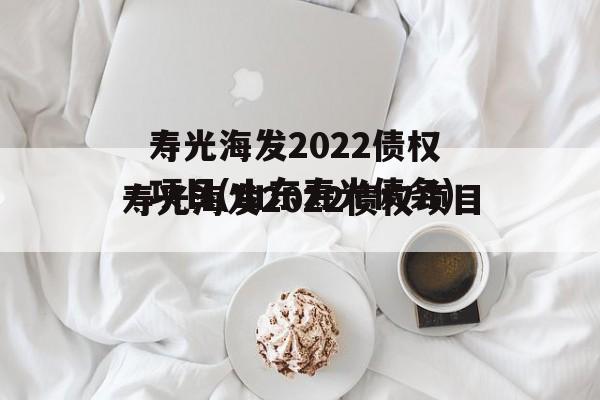 寿光海发2022债权项目(山东寿光债务)