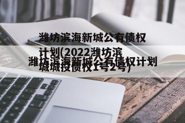 潍坊滨海新城公有债权计划(2022潍坊滨城城投债权1号2号)