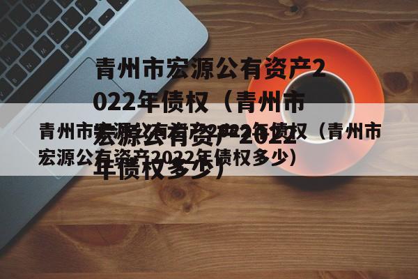 青州市宏源公有资产2022年债权（青州市宏源公有资产2022年债权多少）