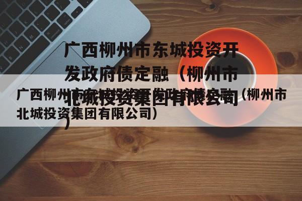 广西柳州市东城投资开发政府债定融（柳州市北城投资集团有限公司）