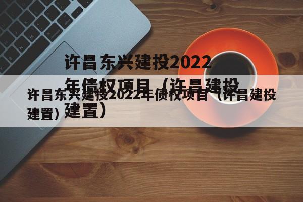 许昌东兴建投2022年债权项目（许昌建投建置）