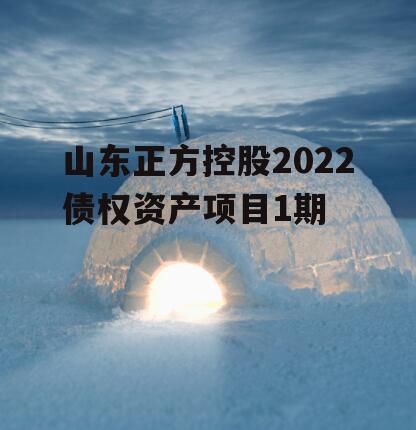 山东正方控股2022债权资产项目1期