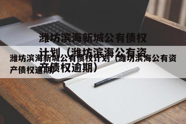 潍坊滨海新城公有债权计划（潍坊滨海公有资产债权逾期）