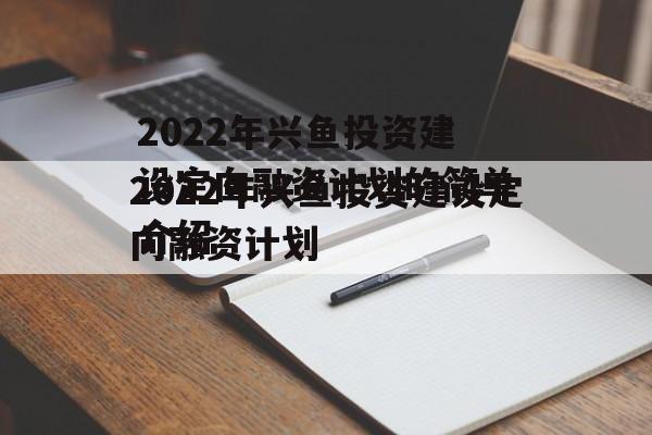 2022年兴鱼投资建设定向融资计划的简单介绍