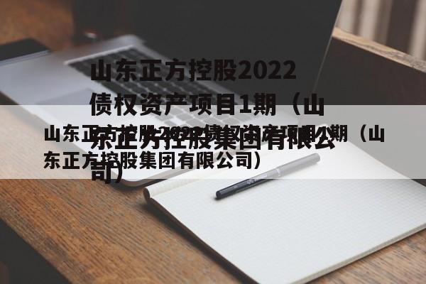 山东正方控股2022债权资产项目1期（山东正方控股集团有限公司）