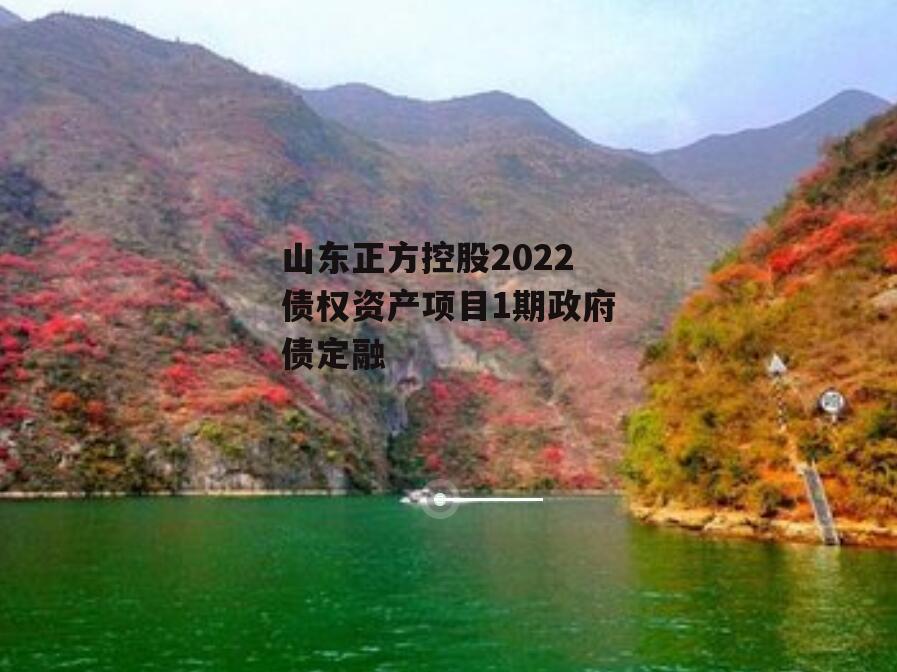 山东正方控股2022债权资产项目1期政府债定融