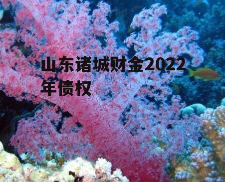 山东诸城财金2022年债权