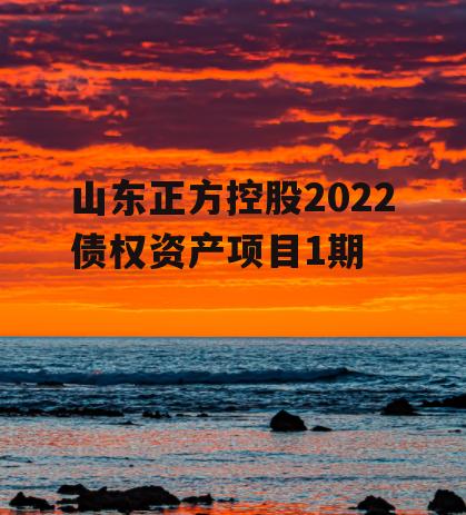 山东正方控股2022债权资产项目1期