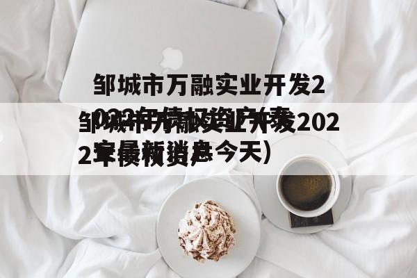 邹城市万融实业开发2022年债权资产(泰安最新消息今天)