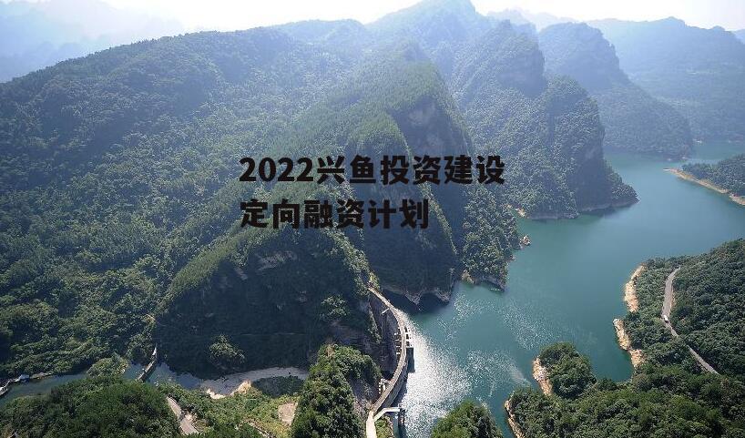 2022兴鱼投资建设定向融资计划