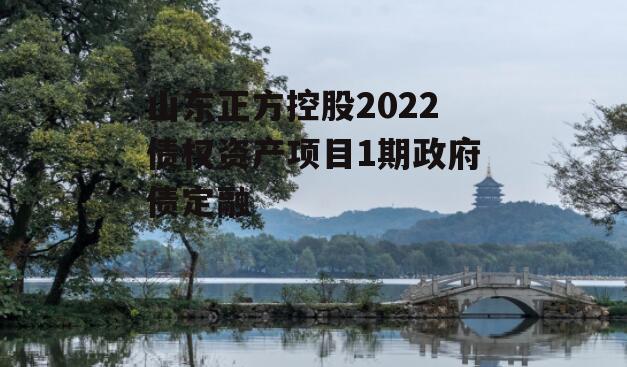 山东正方控股2022债权资产项目1期政府债定融