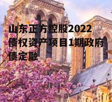 山东正方控股2022债权资产项目1期政府债定融