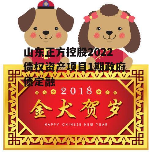 山东正方控股2022债权资产项目1期政府债定融