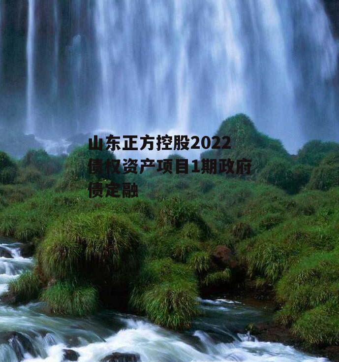 山东正方控股2022债权资产项目1期政府债定融