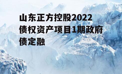 山东正方控股2022债权资产项目1期政府债定融