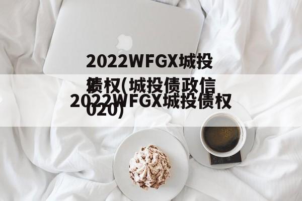 2022WFGX城投债权(城投债政信
2020)