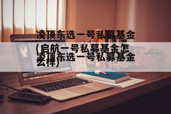 凌顶东选一号私募基金(启航一号私募基金怎么样)