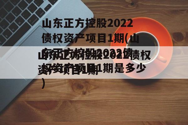 山东正方控股2022债权资产项目1期(山东正方控股2022债权资产项目1期是多少)