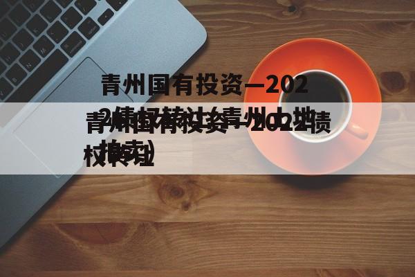 青州国有投资—2022债权转让(青州土地拍卖)