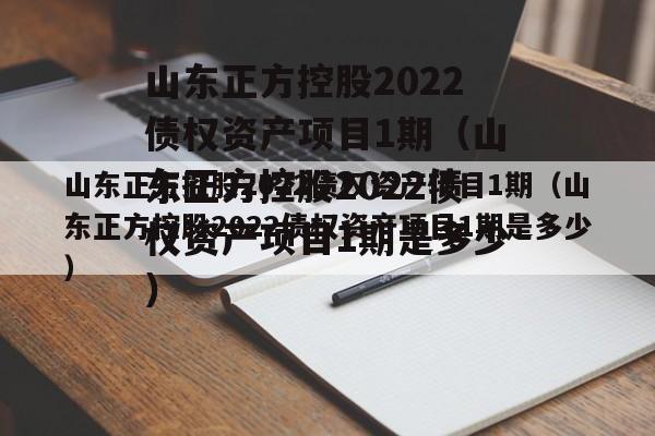 山东正方控股2022债权资产项目1期（山东正方控股2022债权资产项目1期是多少）