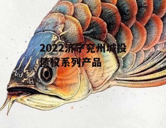 2022济宁兖州城投债权系列产品