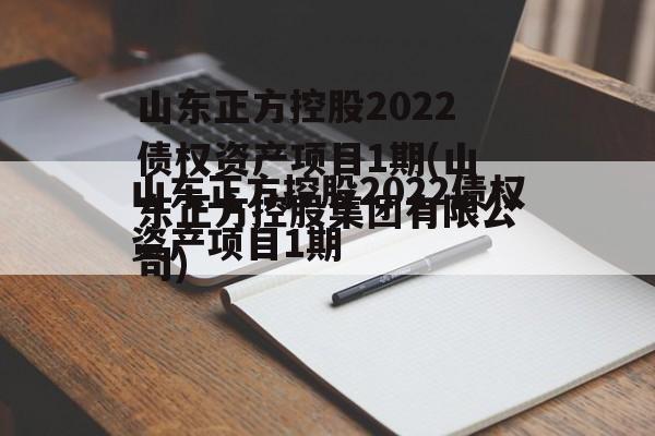 山东正方控股2022债权资产项目1期(山东正方控股集团有限公司)