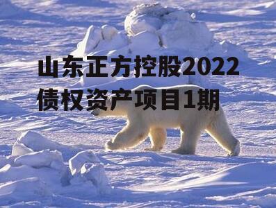 山东正方控股2022债权资产项目1期