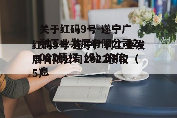 关于红码9号-遂宁广利工业发展有限公司2022债权（5）的信息