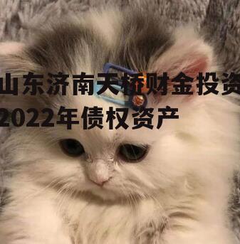 山东济南天桥财金投资2022年债权资产