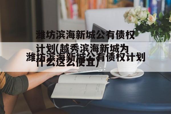 潍坊滨海新城公有债权计划(越秀滨海新城为什么这么便宜)