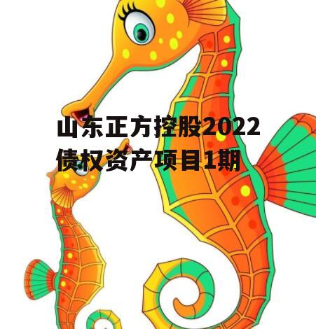 山东正方控股2022债权资产项目1期