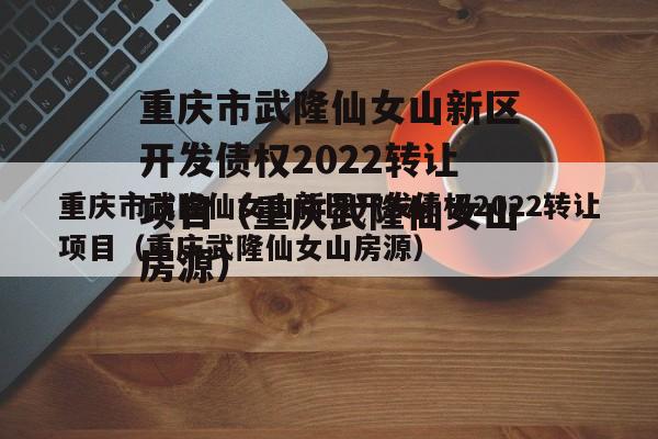 重庆市武隆仙女山新区开发债权2022转让项目（重庆武隆仙女山房源）