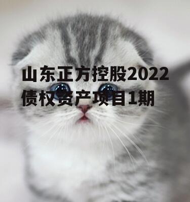 山东正方控股2022债权资产项目1期