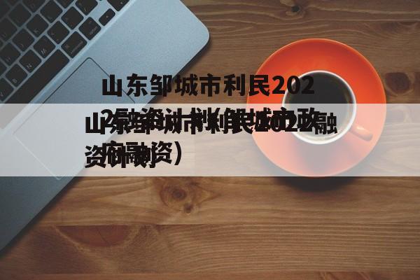 山东邹城市利民2022融资计划(邹城市政府融资)